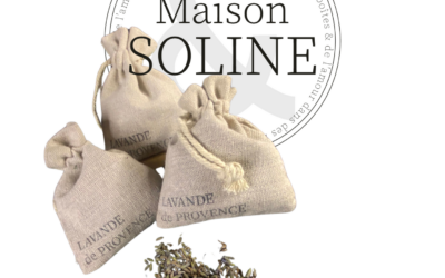 Les vertus apaisantes de la lavande